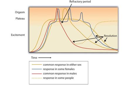 Refractory period (sex)